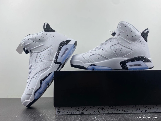 Rep LUCY Jordan Oreo 6 Reverse Air CT8529-112 0701